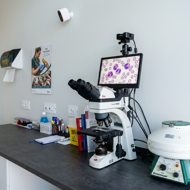 Analisi Laboratoristiche