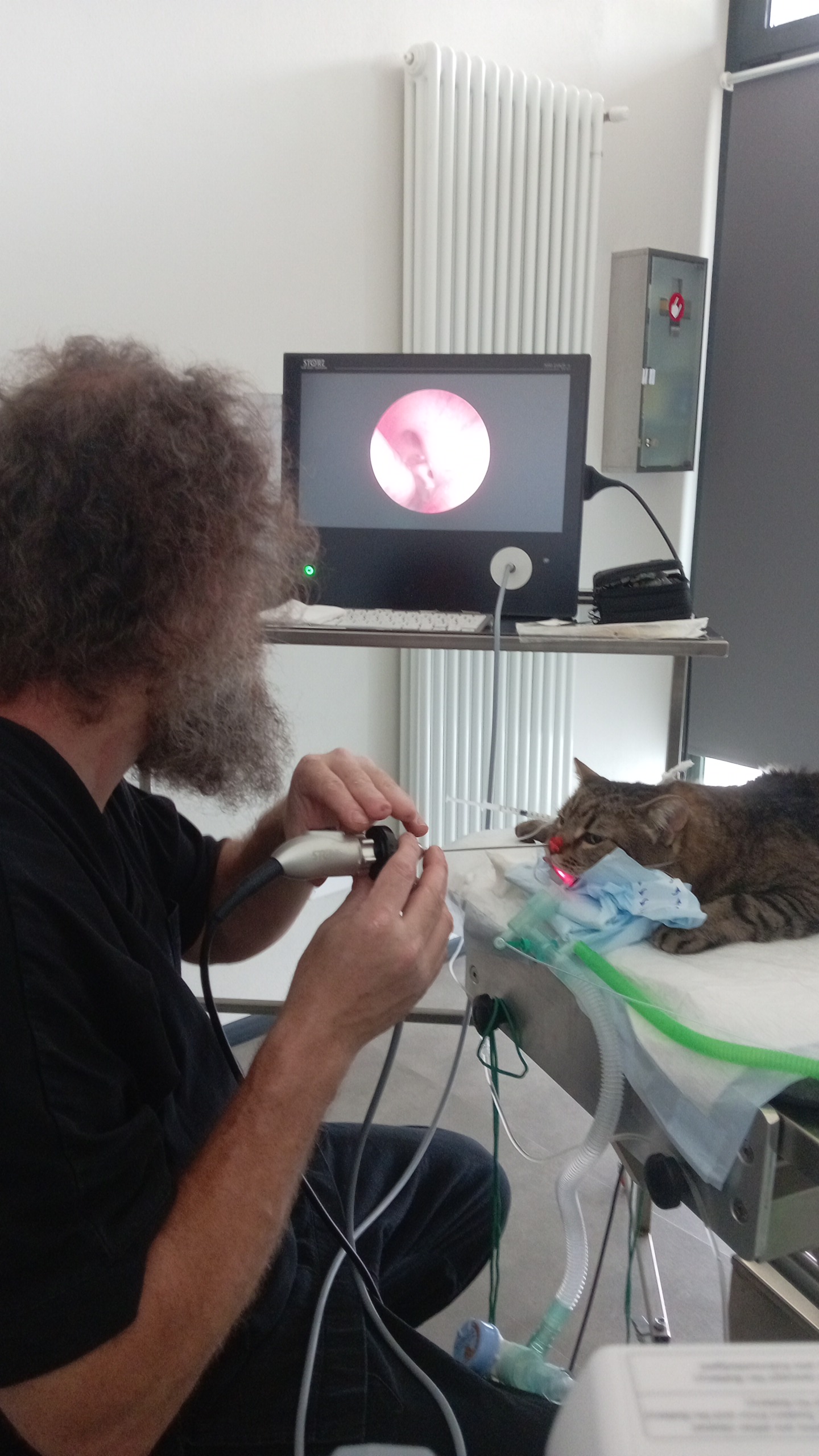 Clinica Immagine 4