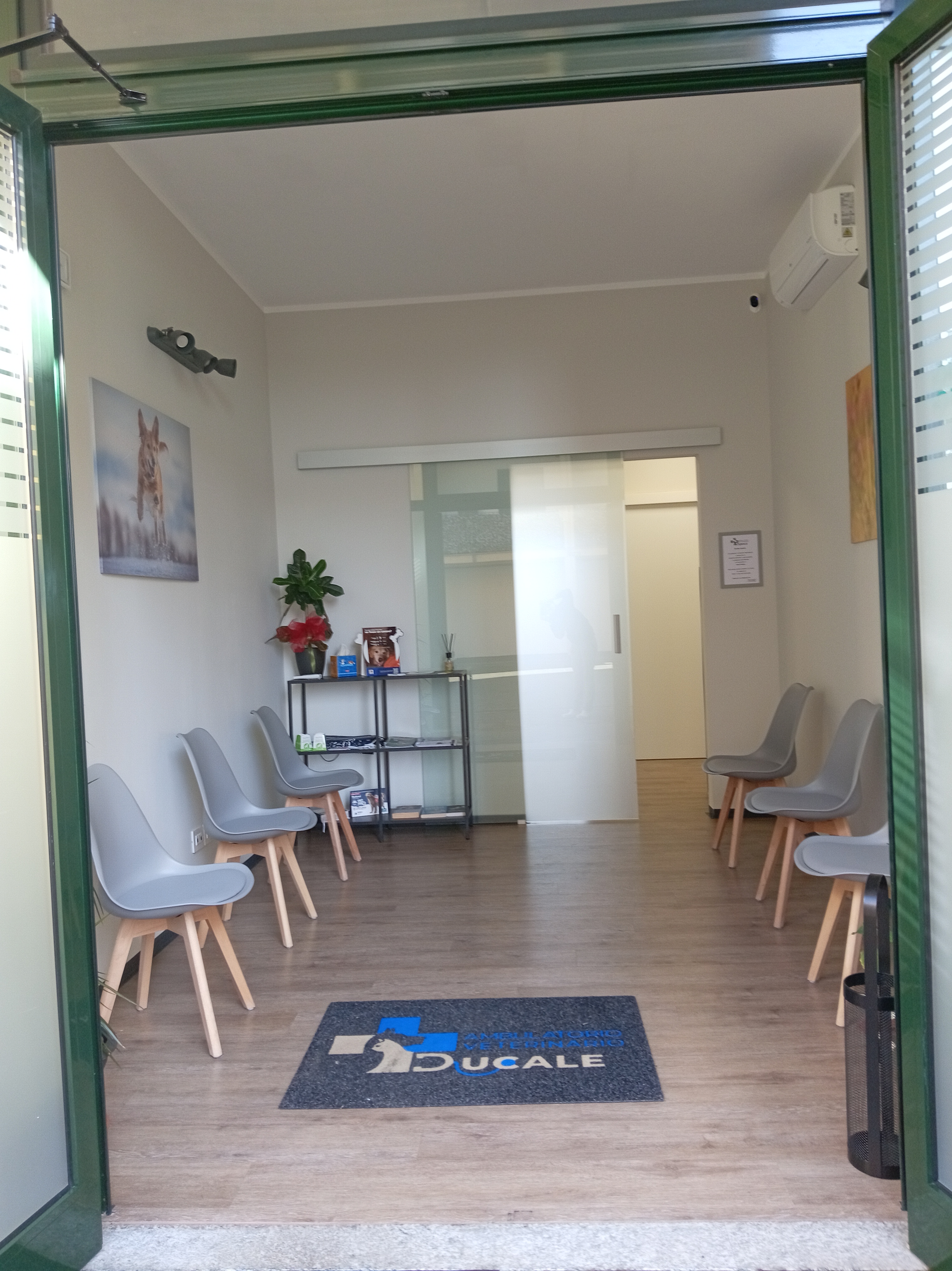 Clinica Immagine 10