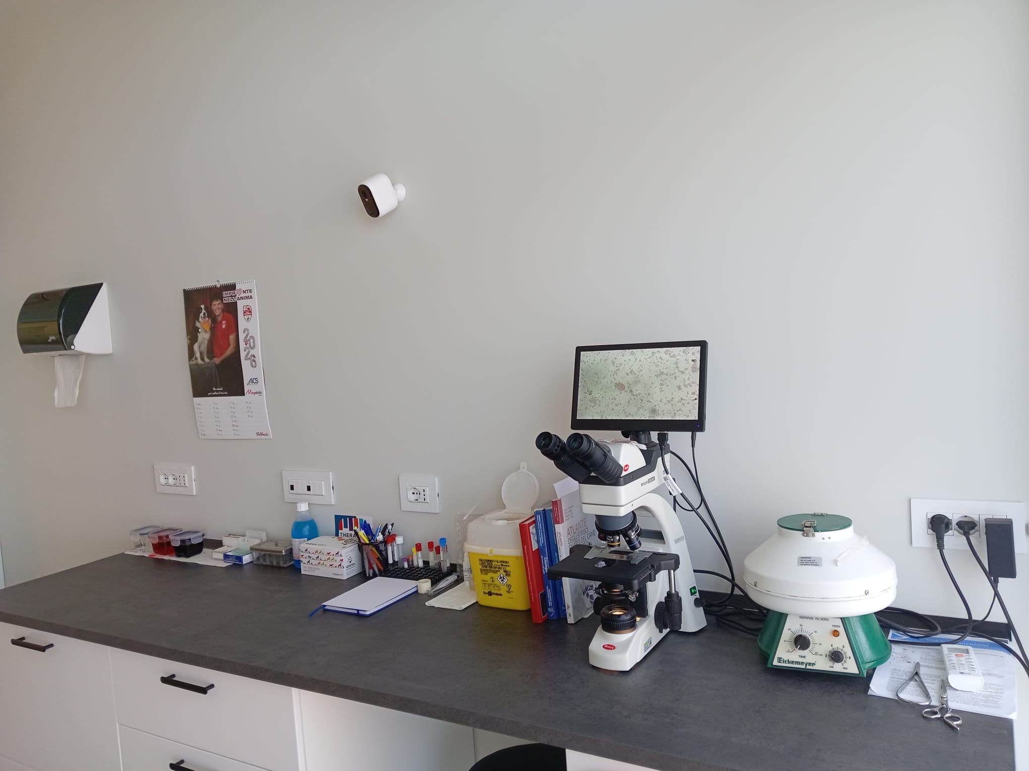 Laboratorio Analisi